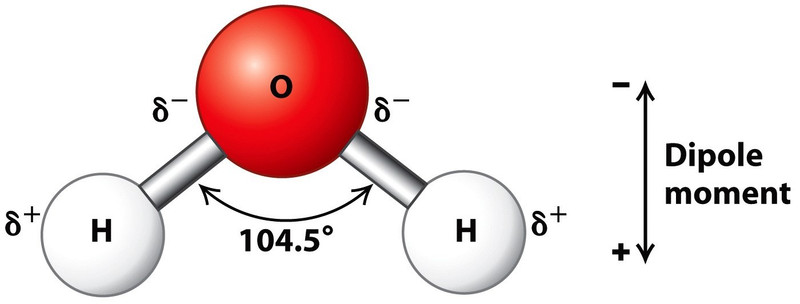 Study guide illustration