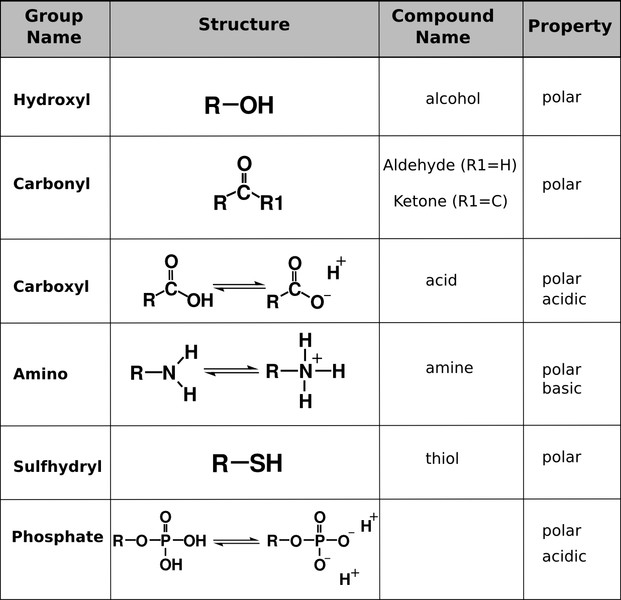 Study guide illustration
