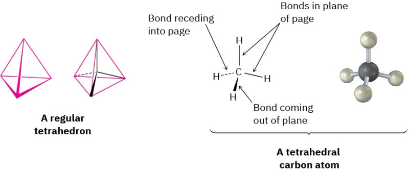 Study guide illustration
