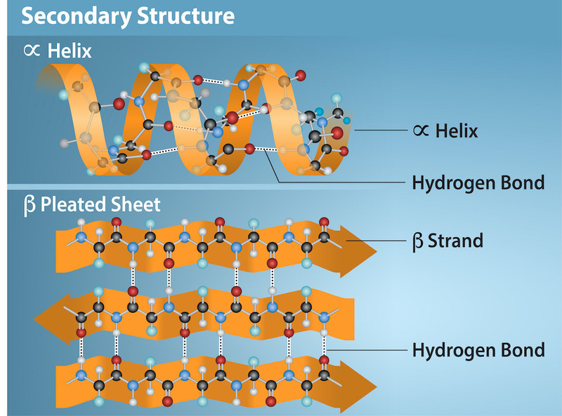Study guide illustration