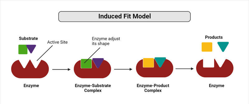 Study guide illustration