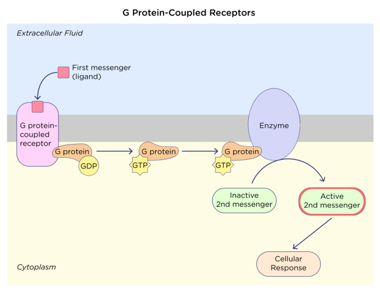 Study guide illustration