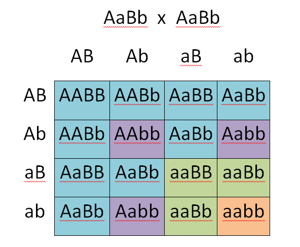 Study guide illustration