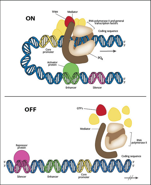Study guide illustration