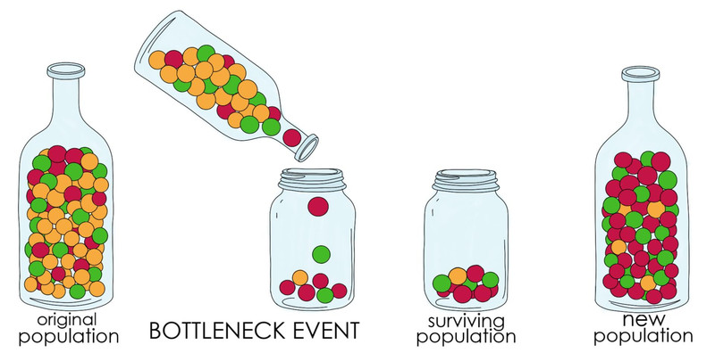Study guide illustration