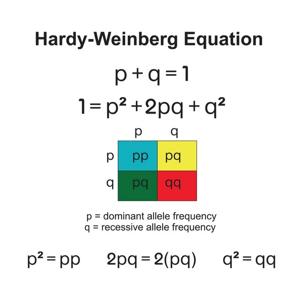 Study guide illustration