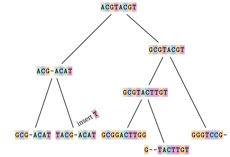 Study guide illustration