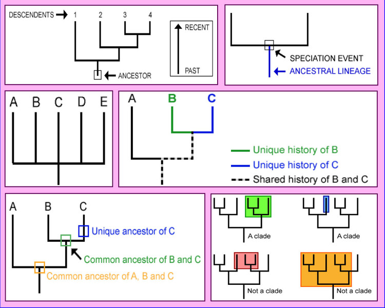 Study guide illustration