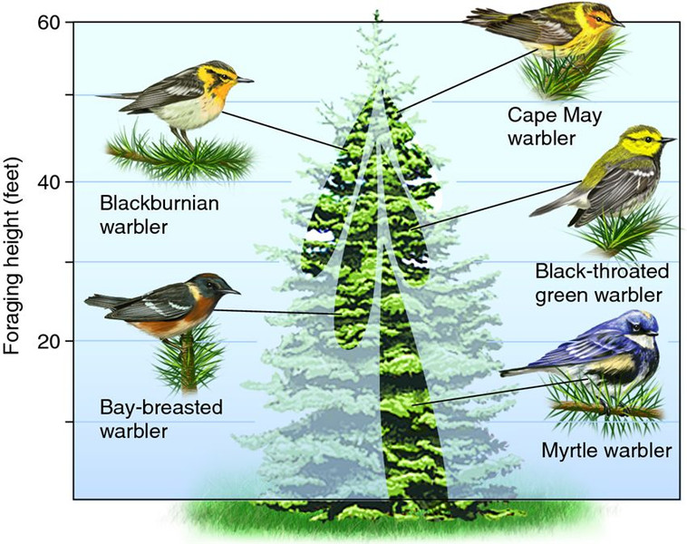 Study guide illustration