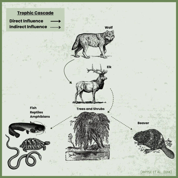 Study guide illustration