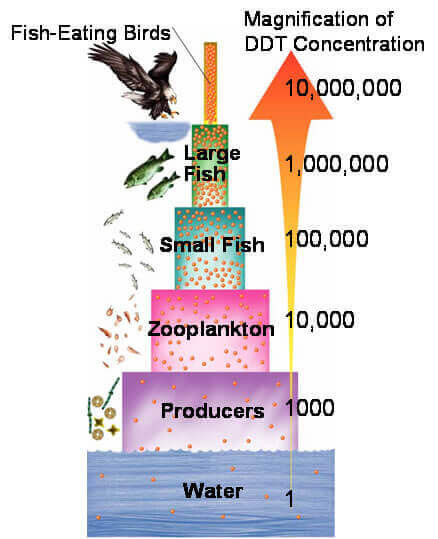 Study guide illustration