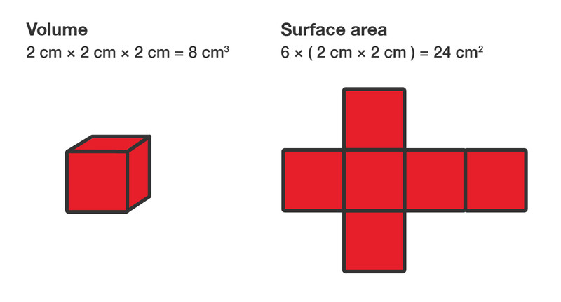 Study guide illustration