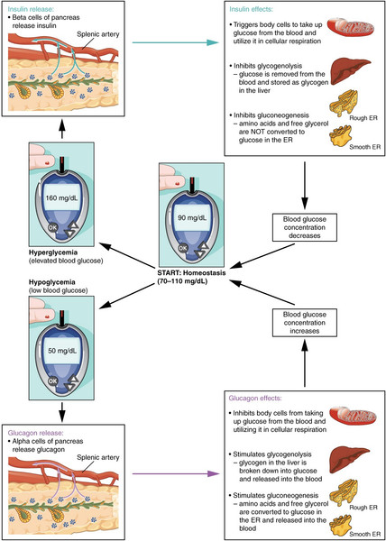 Study guide illustration