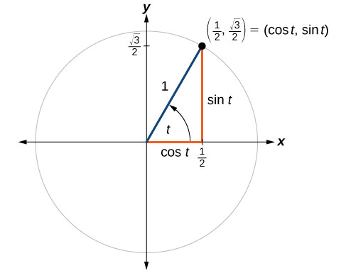 Study guide illustration