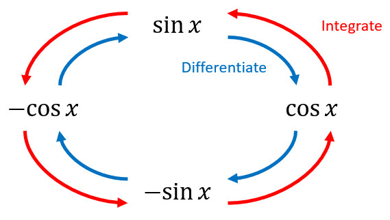 Study guide illustration