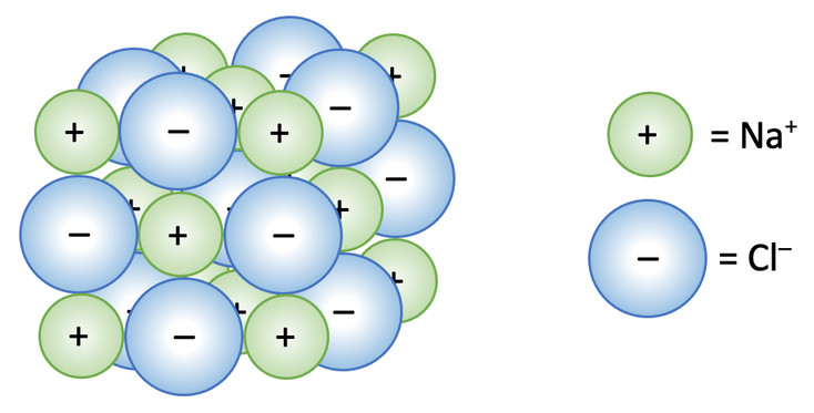 Study guide illustration