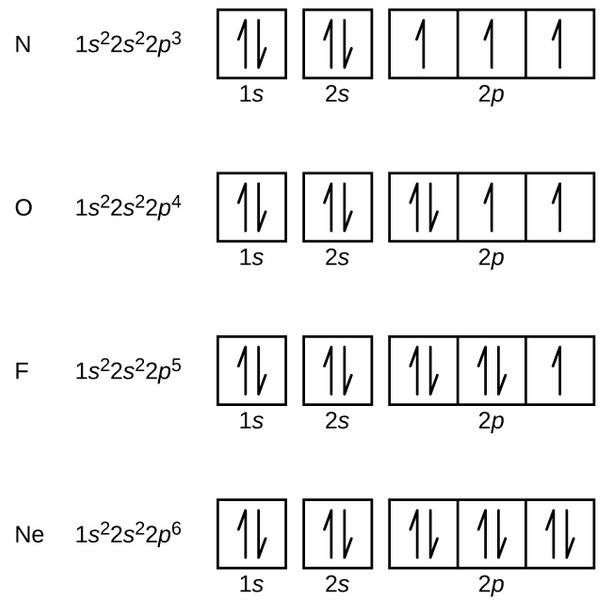 Study guide illustration
