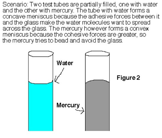 Study guide illustration