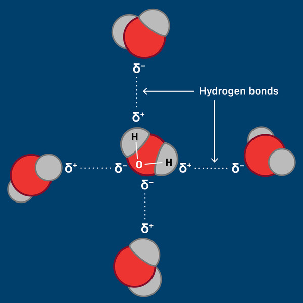 Study guide illustration