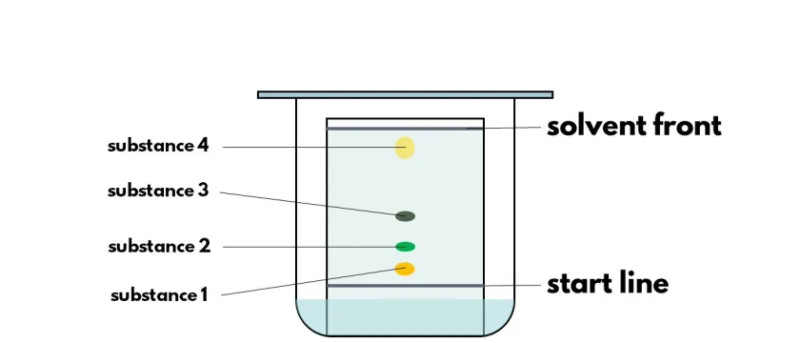Study guide illustration