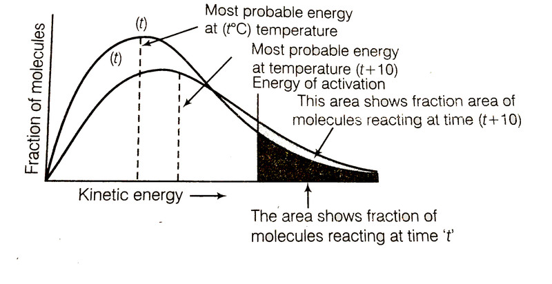 Study guide illustration