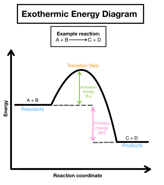 Study guide illustration