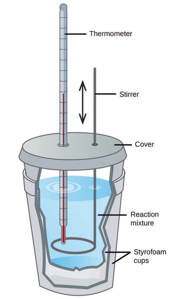 Study guide illustration