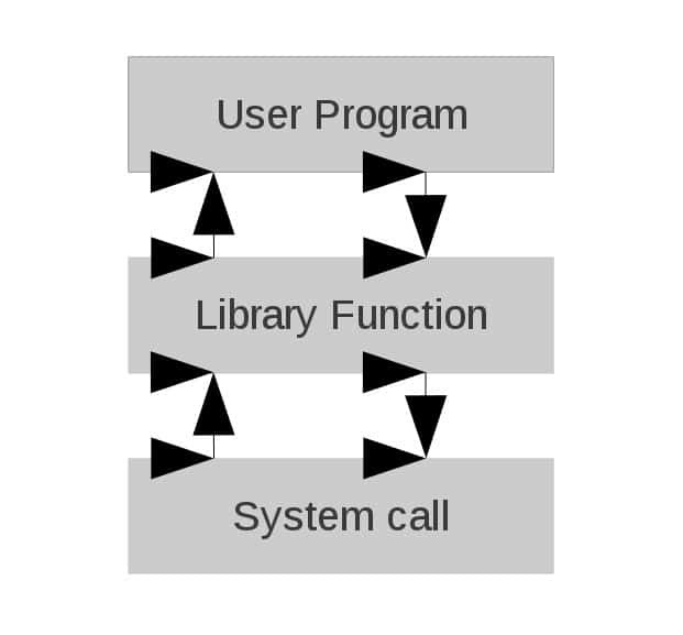 Study guide illustration