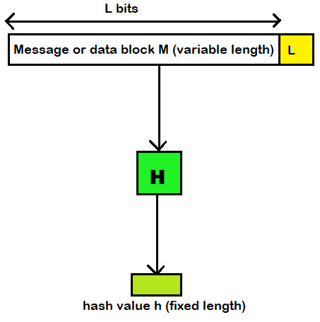 Study guide illustration