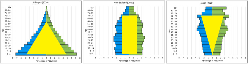 Study guide illustration