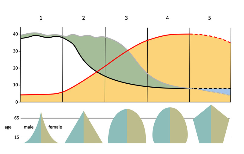Study guide illustration