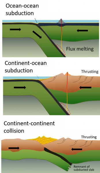 Study guide illustration