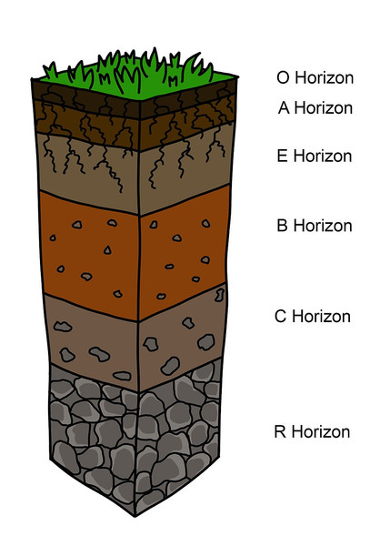 Study guide illustration