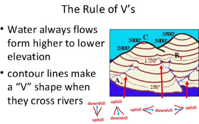 Study guide illustration