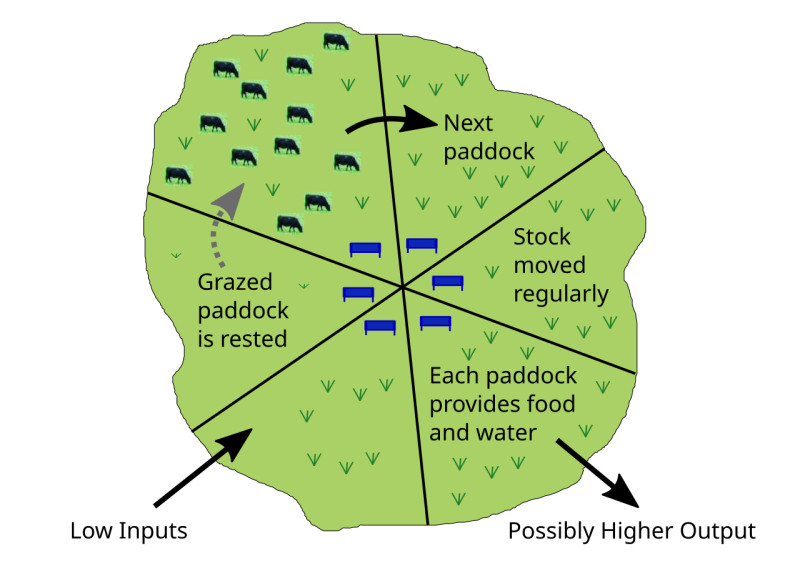 Study guide illustration