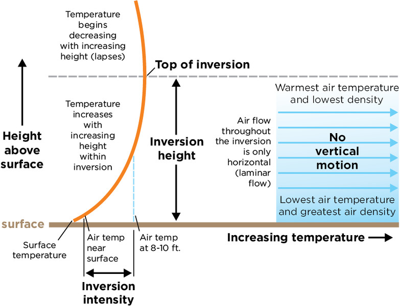 Study guide illustration