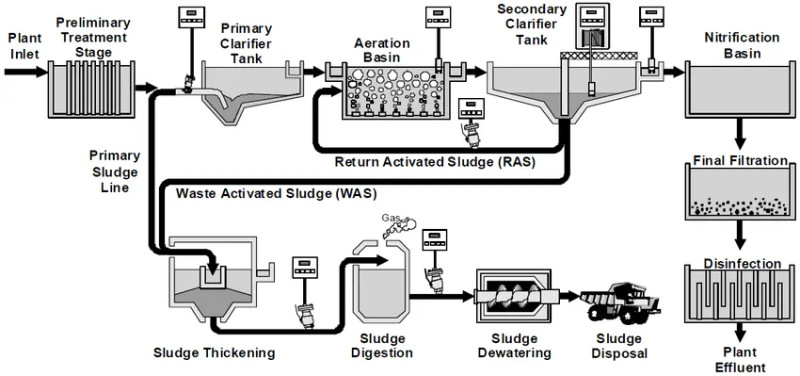 Study guide illustration