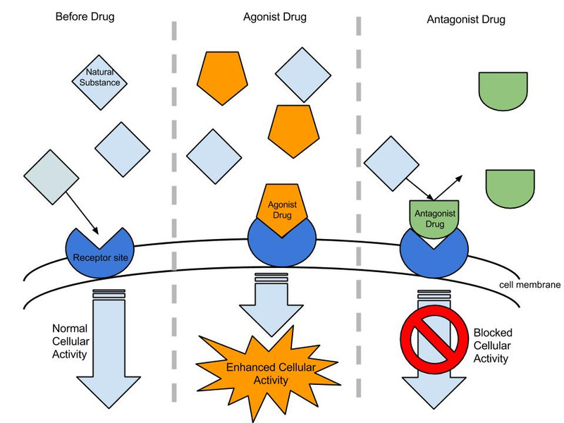 Study guide illustration