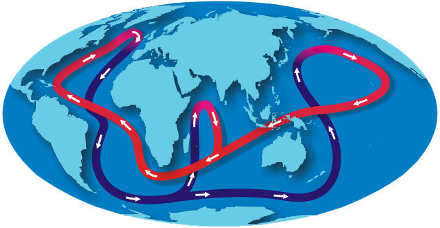 Study guide illustration
