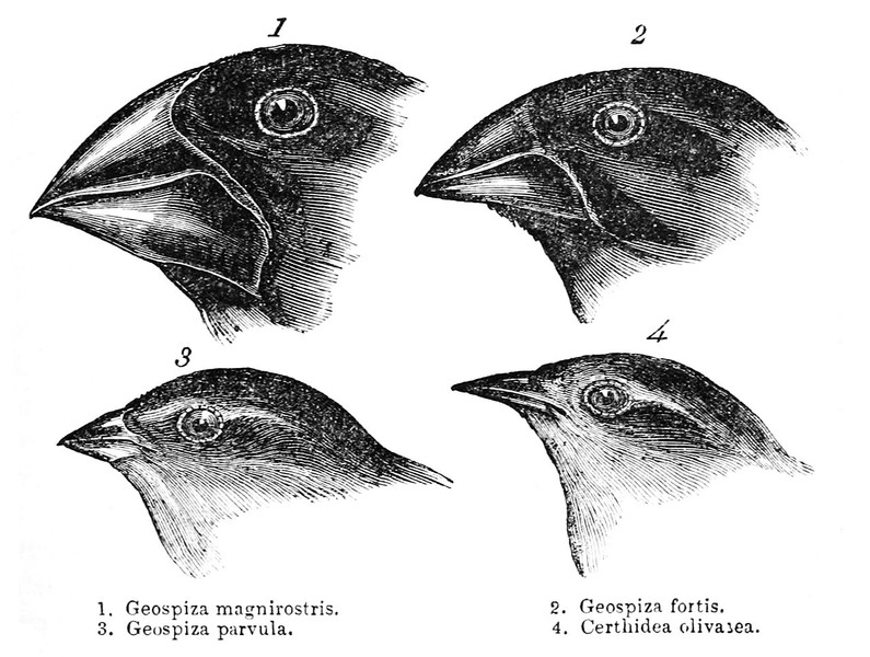 Study guide illustration