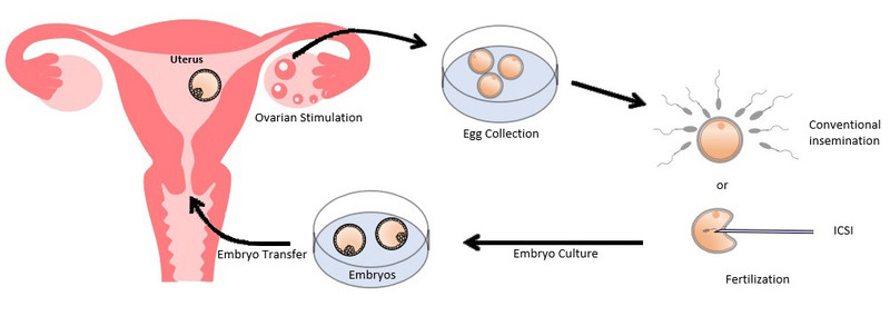Study guide illustration