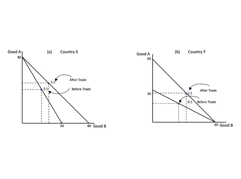 Study guide illustration