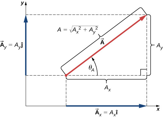 Study guide illustration