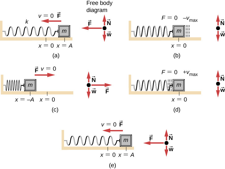 Study guide illustration
