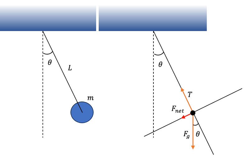 Study guide illustration