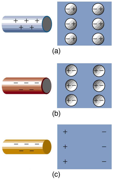 Study guide illustration