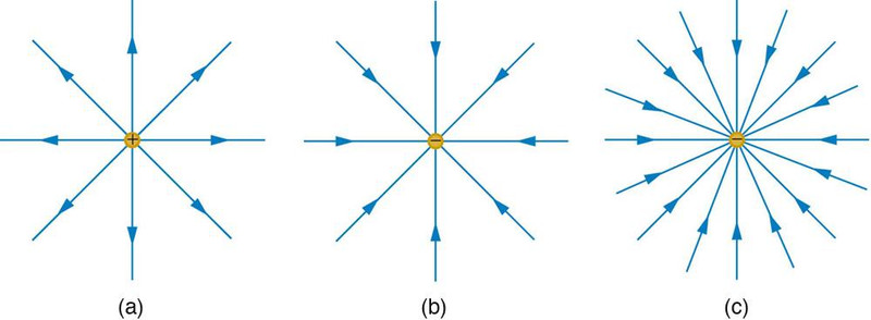 Study guide illustration