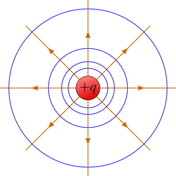 Study guide illustration
