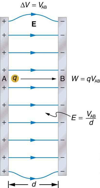 Study guide illustration