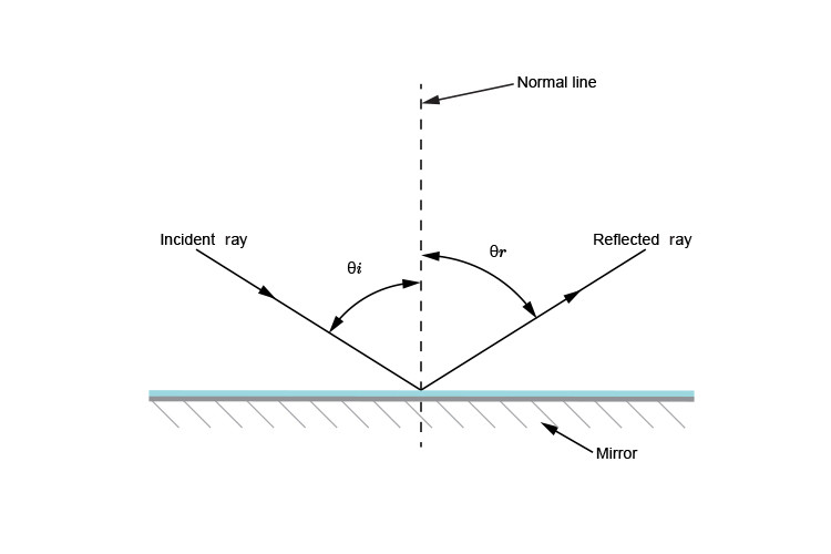Study guide illustration